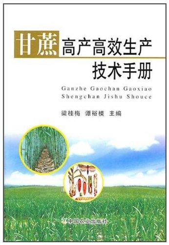 高效高产的完成：高效率的完成 