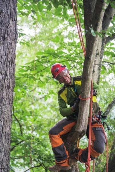 如何高效学爬：如何快速学会爬树 
