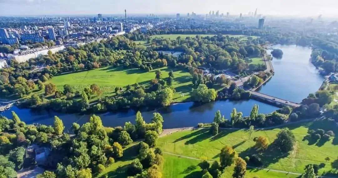 星湖公园今日视线图，自然美景与城市发展的完美融合魅力一览