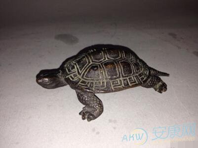 梦见商铺不断爬进来乌龟：梦见乌龟爬进家里是什么意思 