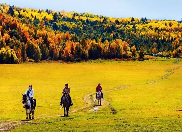 2025年1月17日 第7页