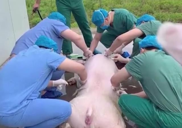 后会无期 第4页