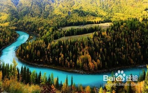 探秘绝美喀纳斯，旅游全攻略！