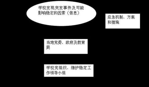 夯雀儿先飞 第3页