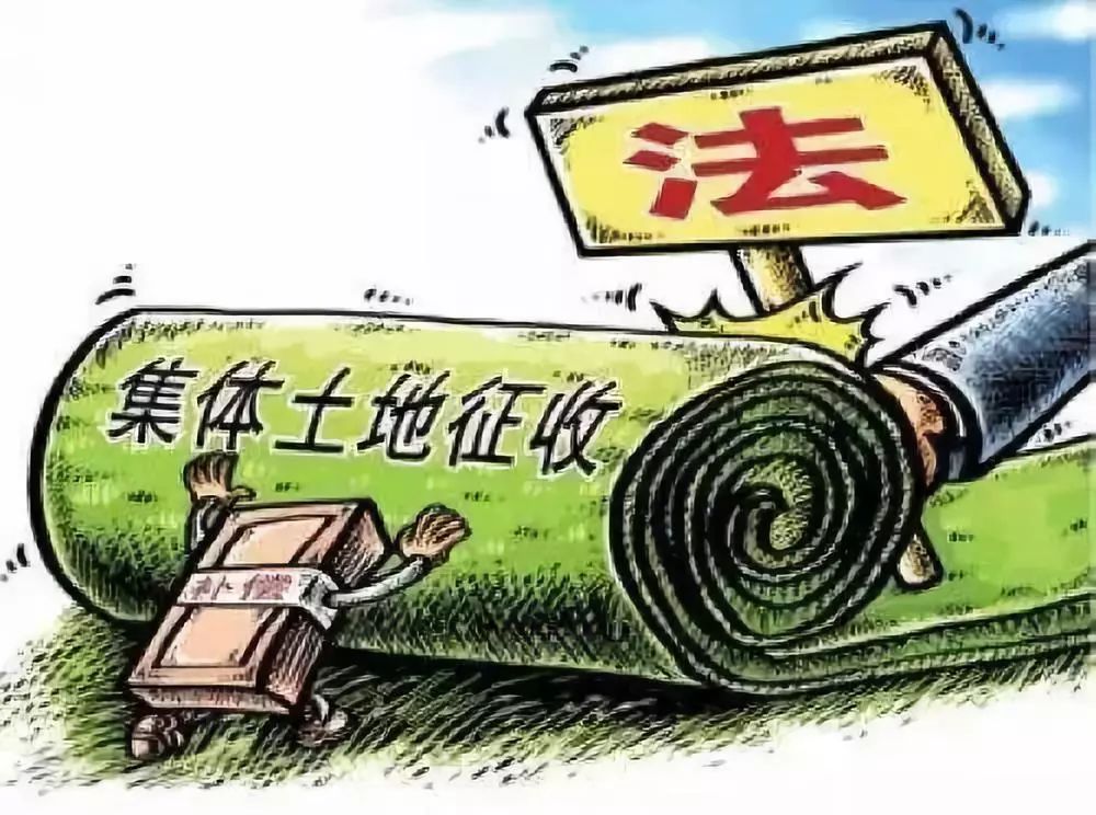 草长莺飞 第5页