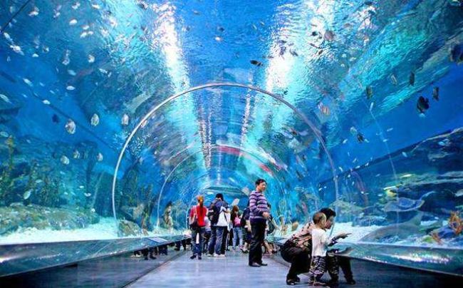 深圳海洋世界探秘，必游景点全攻略！