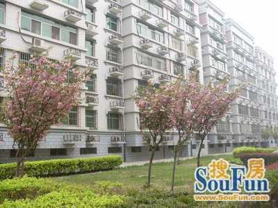 2025年1月20日 第10页