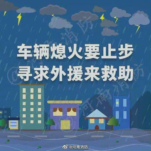 应对挑战，揭秘2019年暴雨突发的背后真相与深度思考