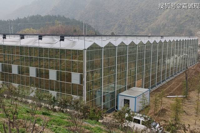 高效温室建设：温室规划 