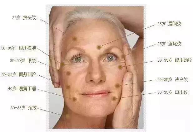 粗枝大叶 第4页