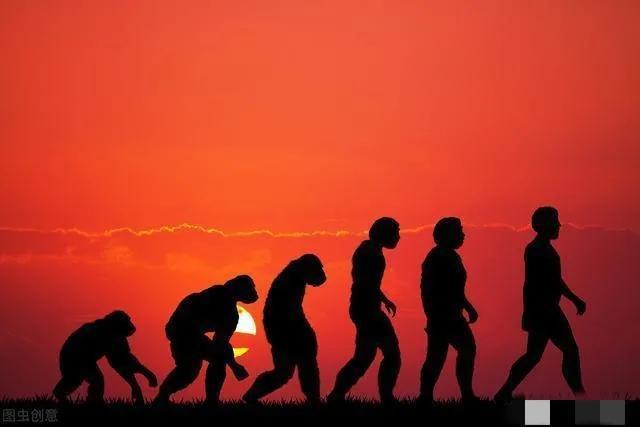 只争朝夕 第3页