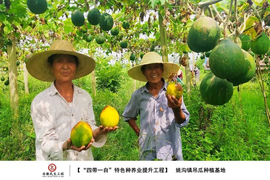 寿县沟渠动态更新，民生工程进展与最新头条新闻