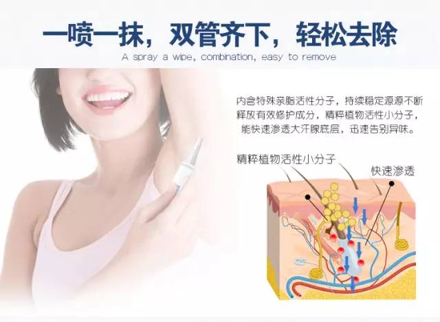 2025年1月22日 第17页