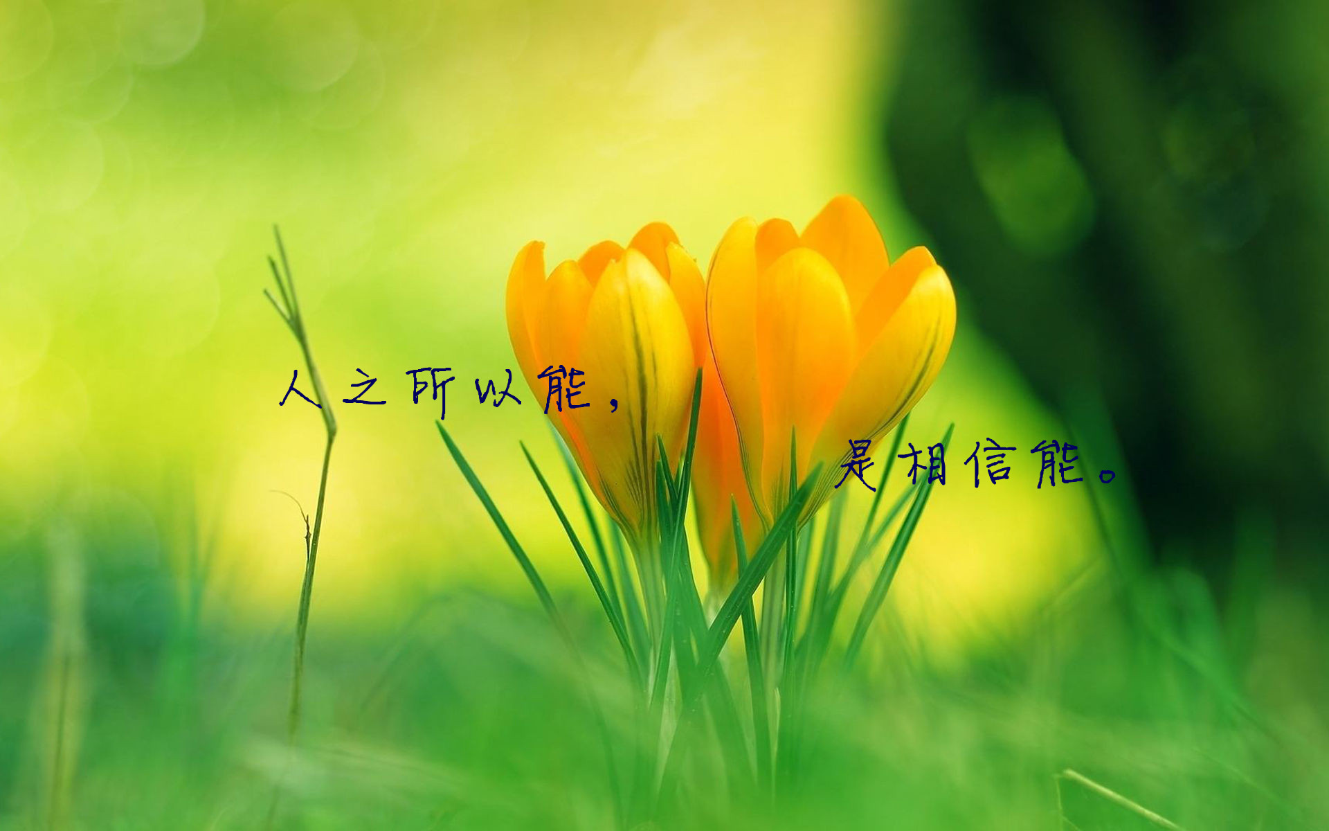 中考励志短句大全，激发潜能，决胜考场！