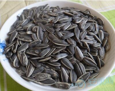 梦到不断吃着瓜子:做梦梦到吃瓜子