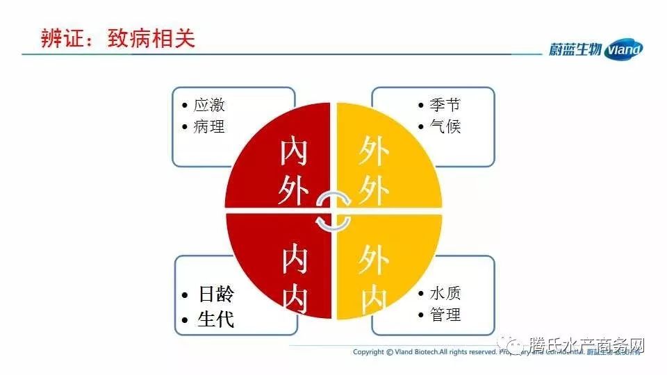 高位高效高额：高位操作什么意思 