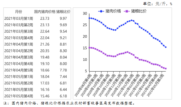遂宁猪价最新行情，今日市场分析及趋势预测