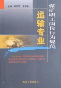 飞墙走壁 第3页