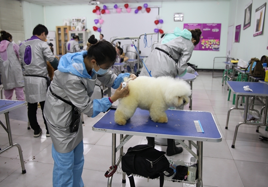 环肥燕瘦 第4页