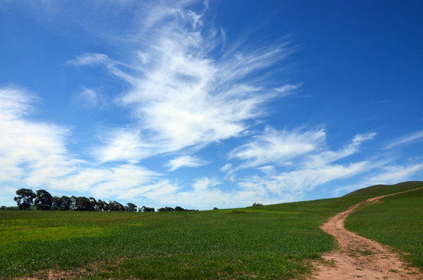 秋季丰宁坝上草原旅游攻略大放异彩！