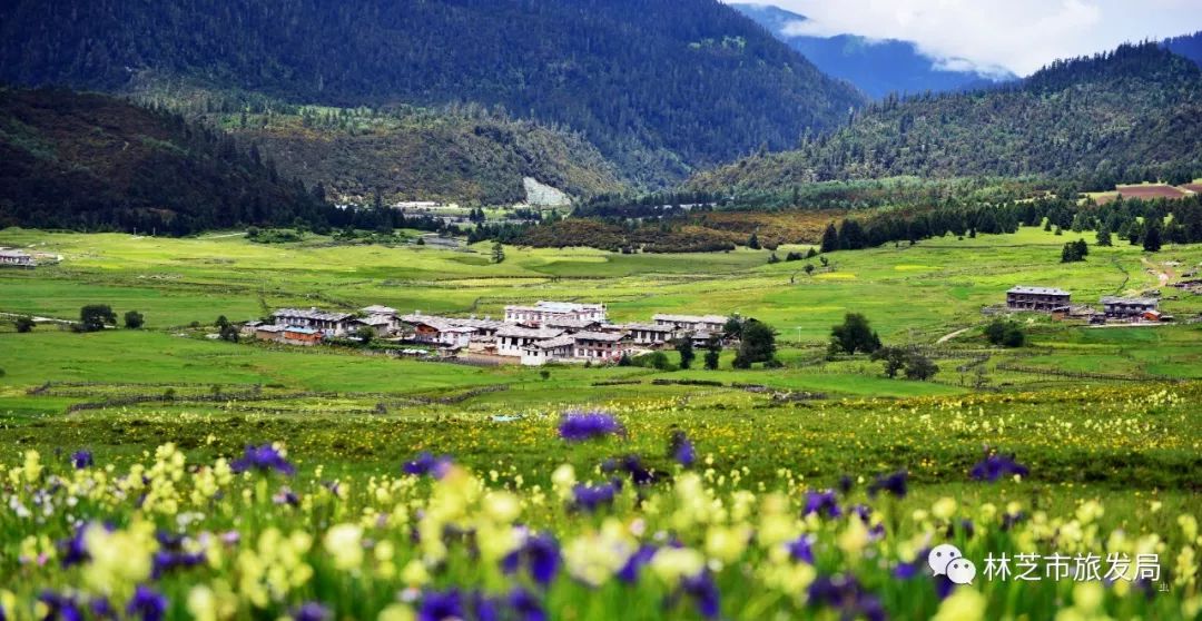 林芝最大的独家独院：林芝别墅楼盘 