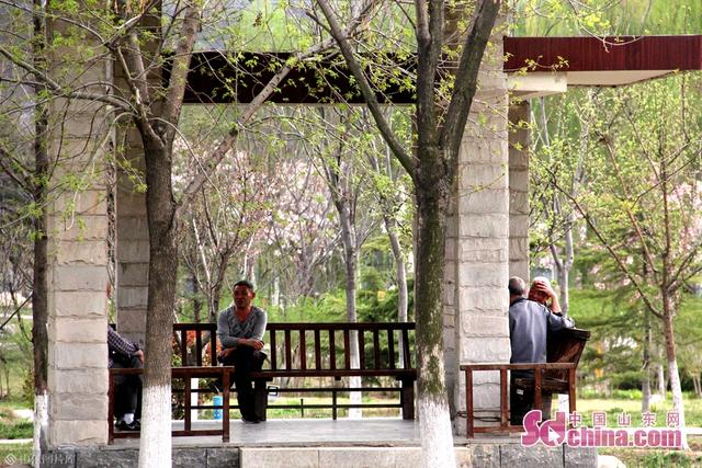 香河春日游攻略，探秘春季美景，尽享惬意时光！