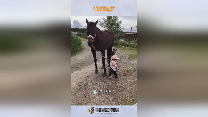 大马宣传：大马大马告诉我视频 