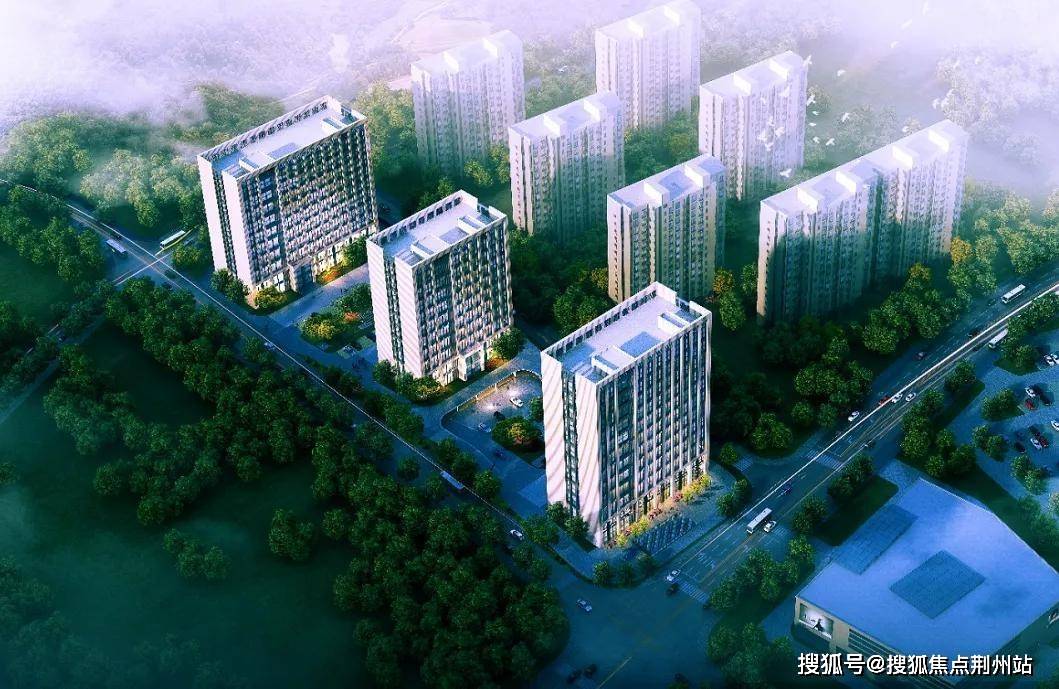 今日姜价行情更新，最新动态一网打尽！