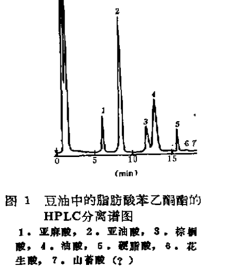 虫蚀鸟步 第4页