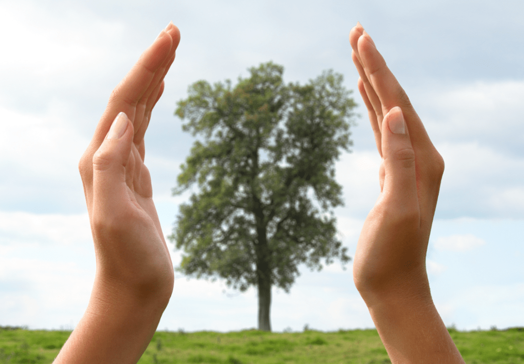 高效思考模式，探索与实践之旅