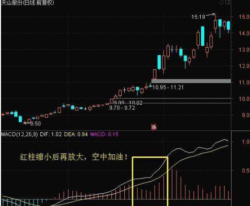 股票高效买卖法视频：股票买卖的101个技巧 