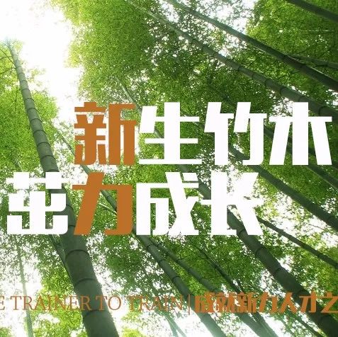 竹林经营专题，探索与实践的完美融合