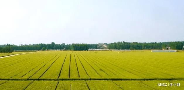 持续规范农田建设管理：农田建设规划 