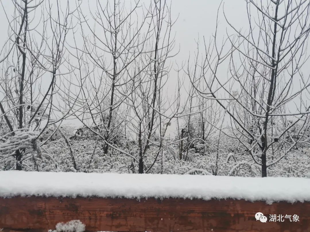 暴雪最新动态与武汉今日天气详解