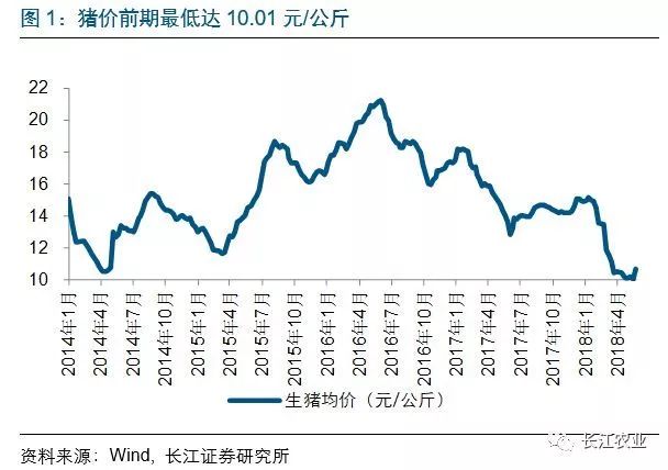 常州毛猪价今日行情深度解析