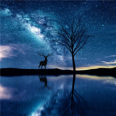 不断前行与人相遇:人生不断前行的句子