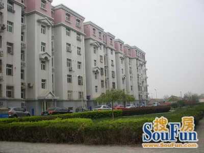 天津滨海租房独家独院：天津滨海新区租房子一室一厅多少钱一个月 