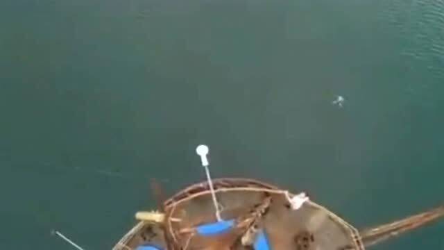 今日野钓盛宴揭秘，垂钓者的喜悦与大自然的馈赠，不容错过的收获时刻！