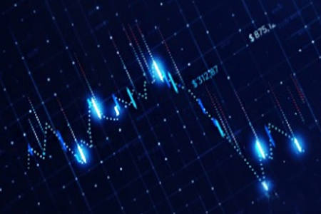 西藏秋葵今日行情分析及市场洞察