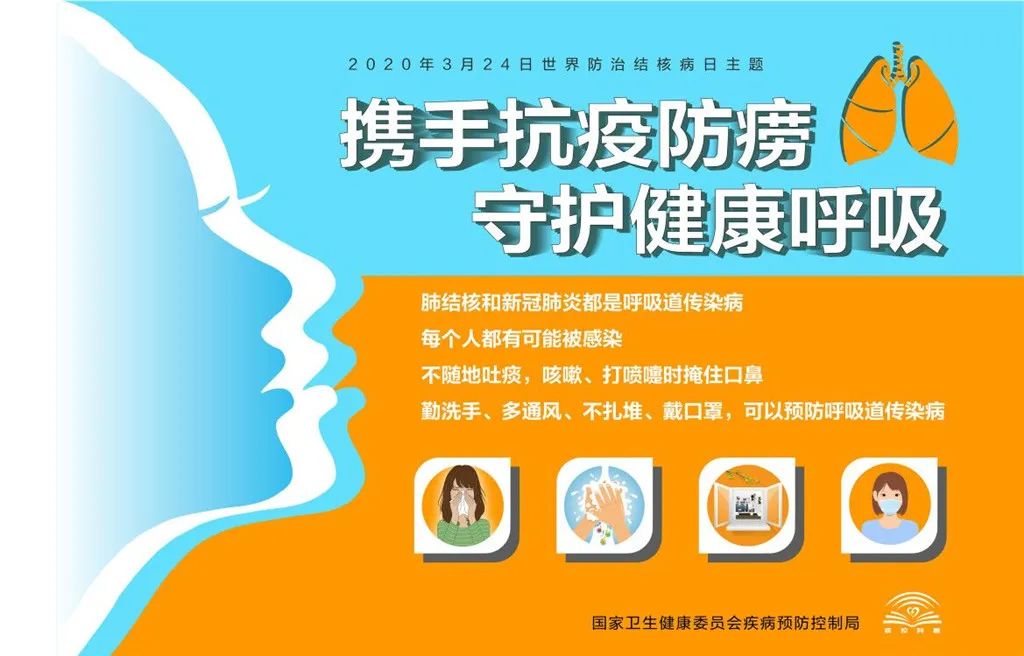 奶企宣传片揭秘，品质守护健康，承诺共创美好未来！