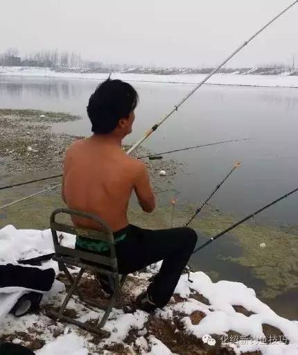 田哥钓鱼主播最新视频集锦，钓鱼爱好者的极致享受