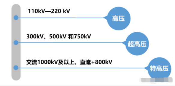 寒蝉僵鸟 第3页