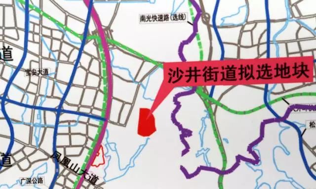 名士风流 第3页