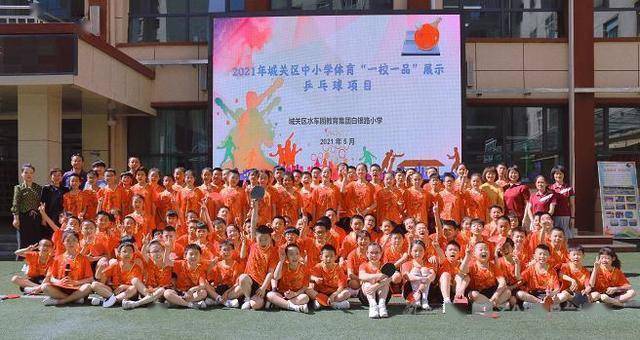 落实上级决策，展现责任与行动的力量