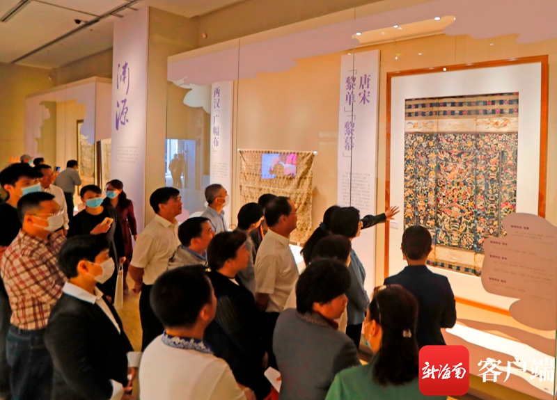 海南突发龙：海南龙被展 