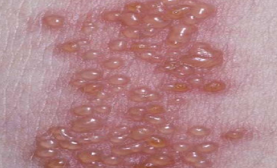 专心致志 第3页