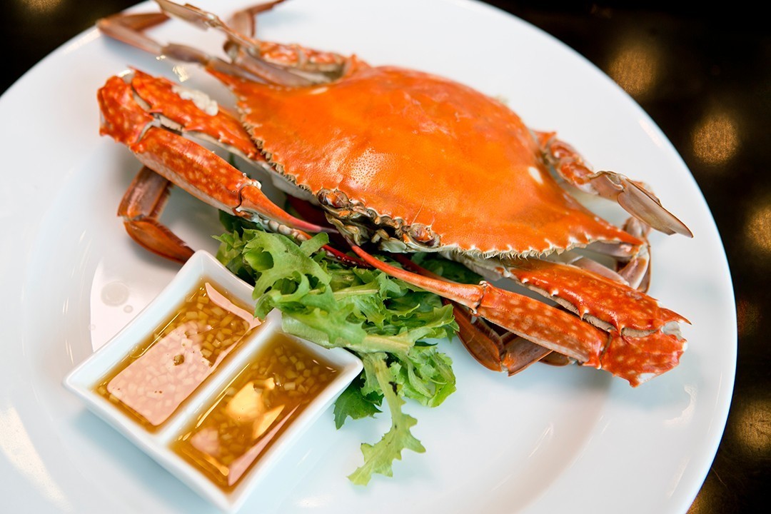 金刚独家试蟹之旅，味蕾盛宴的诱惑探索