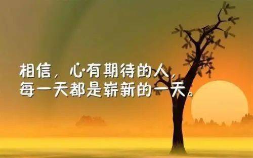 励志精选小说语录激励人生