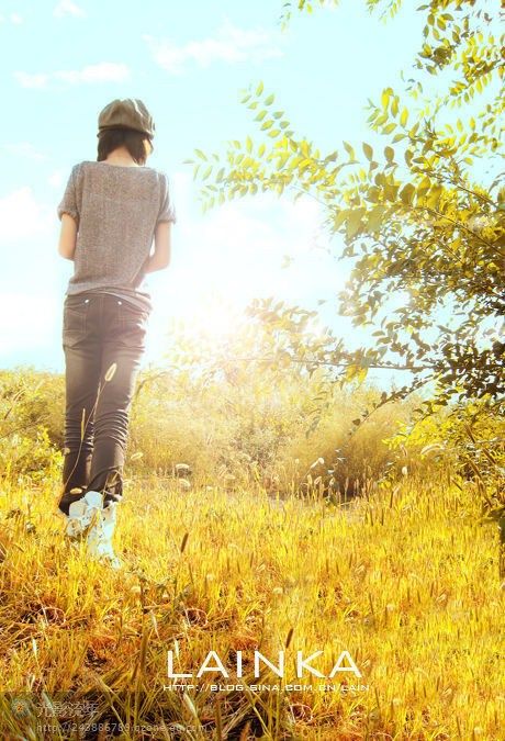 在不断的放弃与释怀中成长，人生的选择与成长之路探索