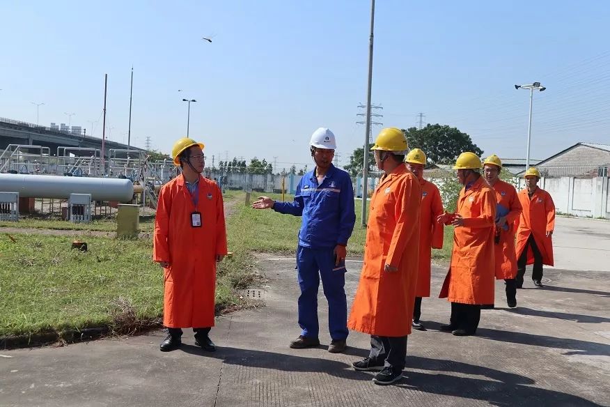 蓝宝最新动态速递，今日新闻一览